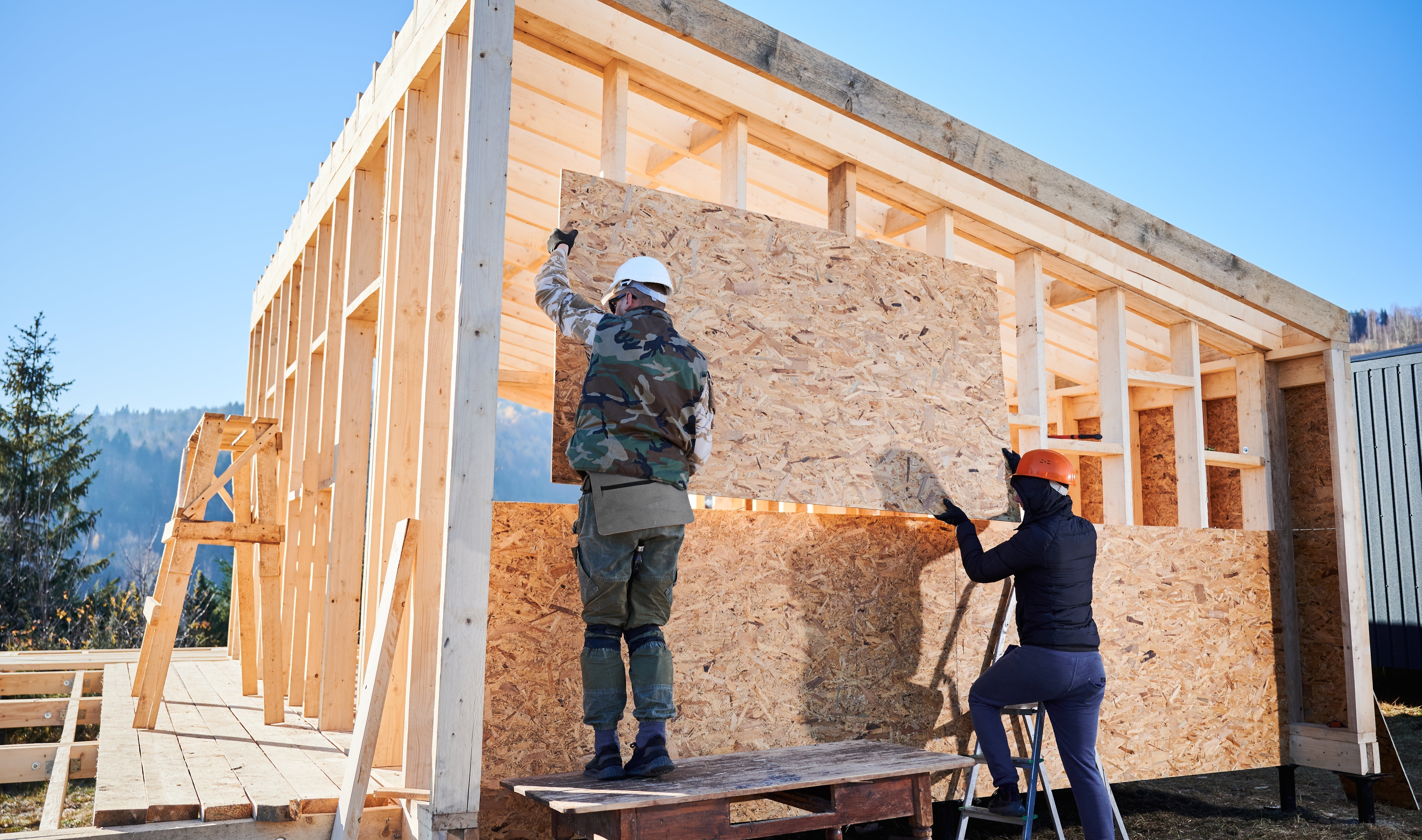OSB vs Plywood: Key Differences Explained | Windsor Plywood