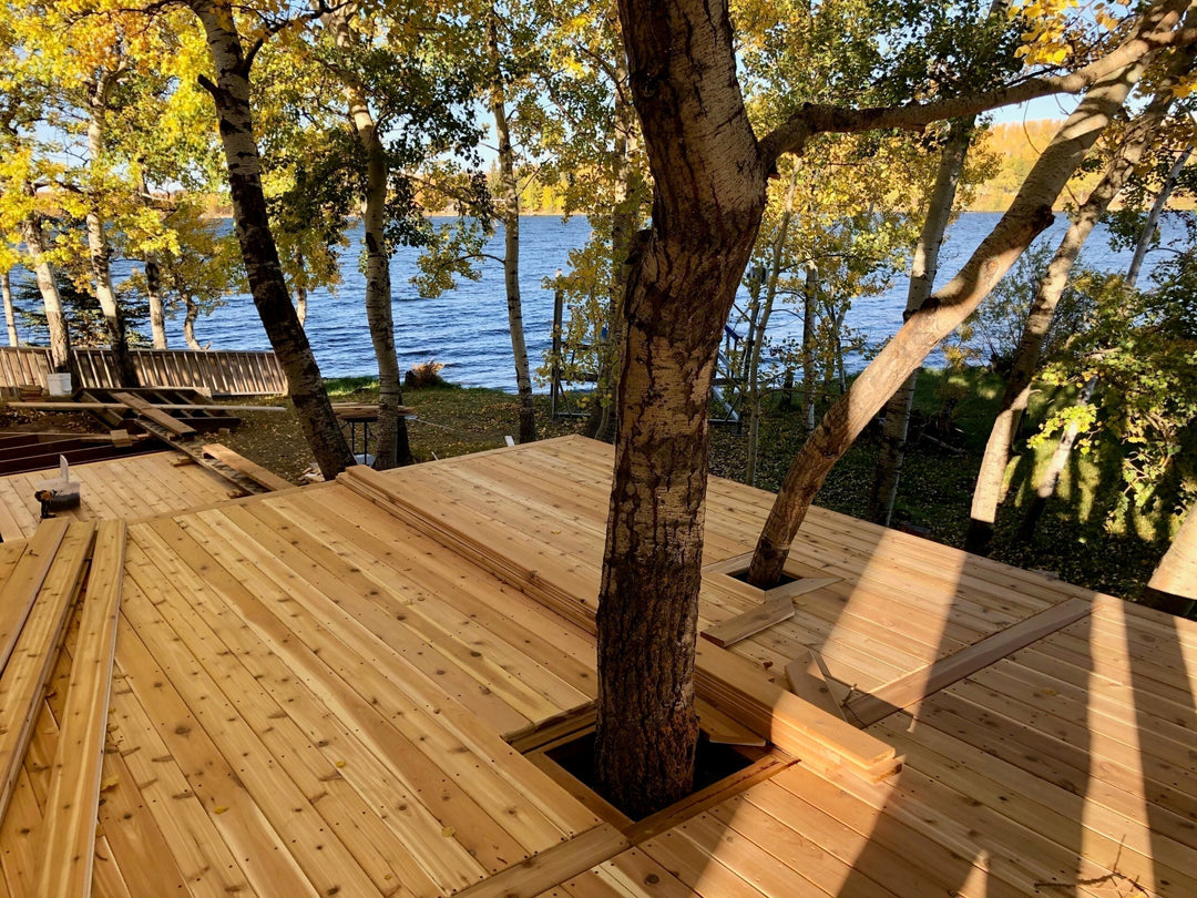 Discover the Beauty, Durability, and Versatility of Yellow Cedar for Your Outdoor Projects