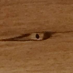 Tamarindo Wooden Bench with "Creepy Eyes"
