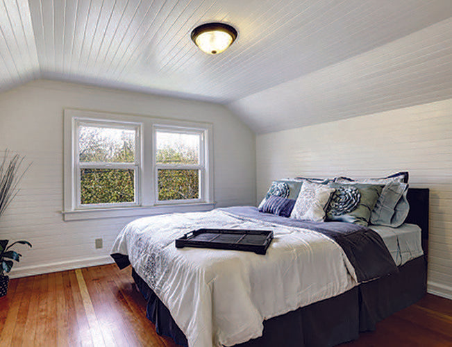 Wainscot - Windsor Plywood