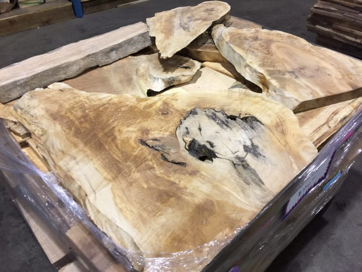 Maple Figured/Curly Shorts - Windsor Plywood