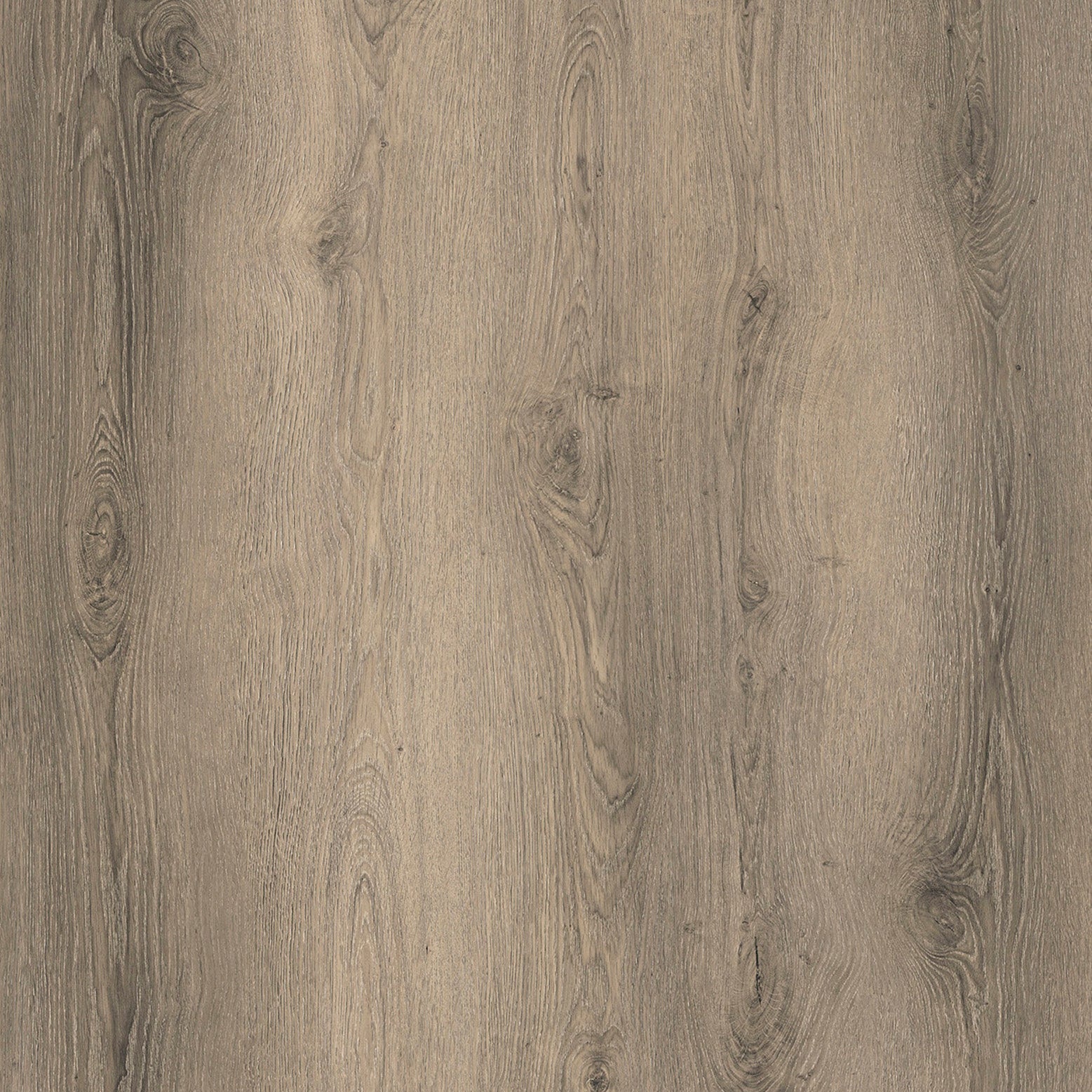 5mm SPC Expressa Element Plus Collection – Windsor Plywood