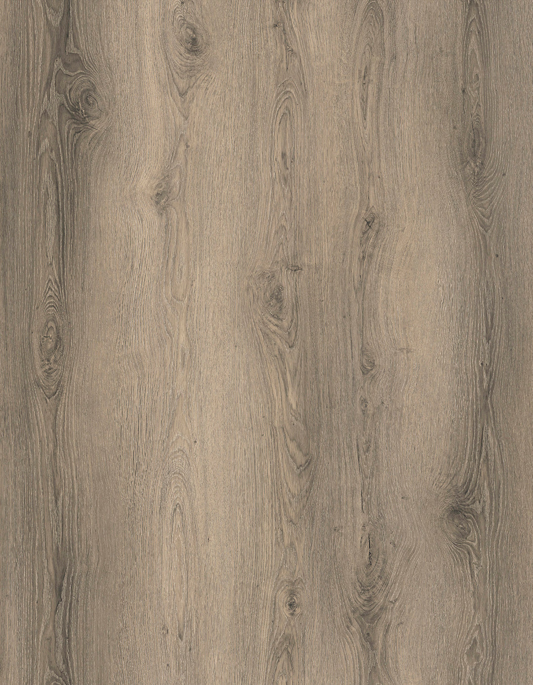 5MM SPC EXPRESSA ELEMENT PLUS  COLLECTION - RIDGEDALE