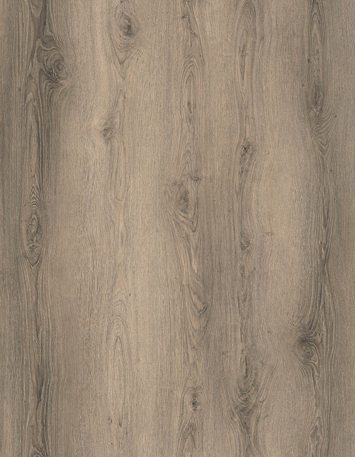 5MM SPC EXPRESSA ELEMENT PLUS  COLLECTION - RIDGEDALE