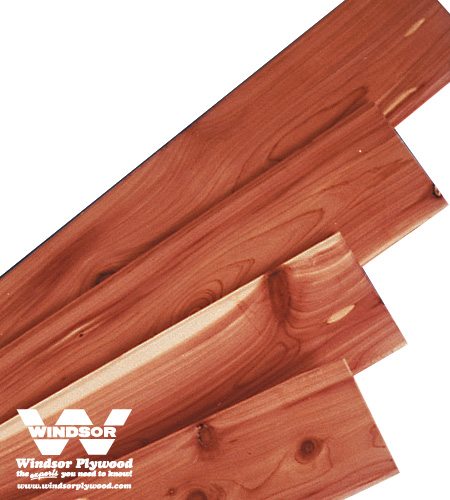 Aromatic Cedar Lumber | Windsor Plywood