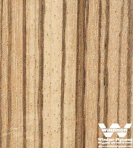 Zebrawood Hardwood Lumber | Windsor Plywood